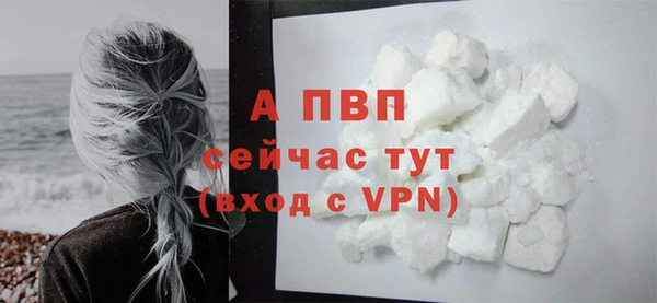 гидропоника Каменка