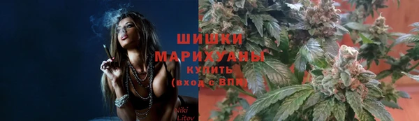 гидропоника Каменка
