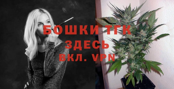 гидропоника Каменка