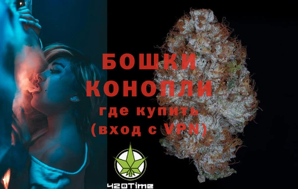 гидропоника Каменка