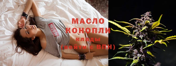 гидропоника Каменка