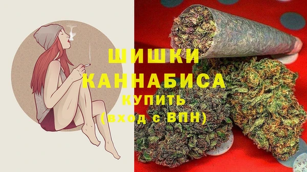 прущая мука Каменногорск